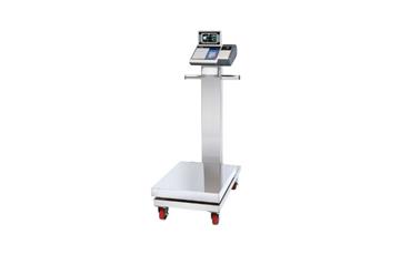 ADS-301 series wholesale platform scale